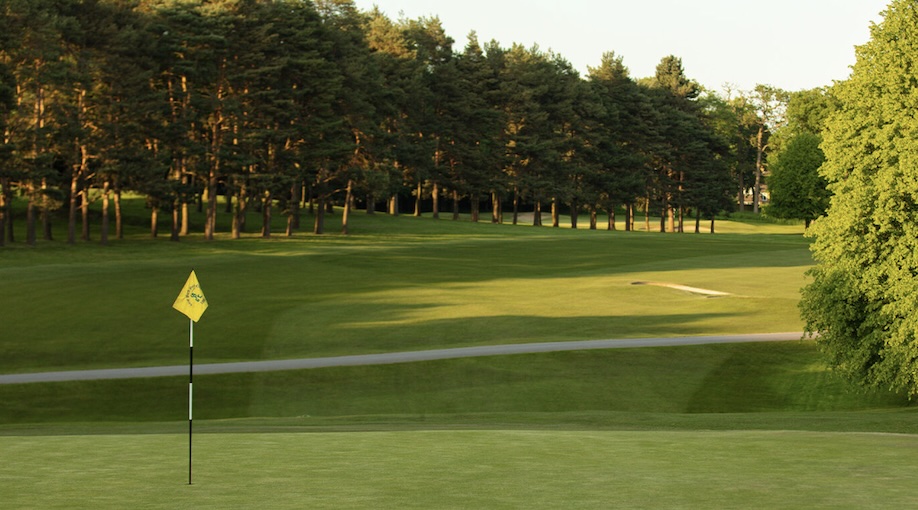 Photo of Calcot Park Golf Club